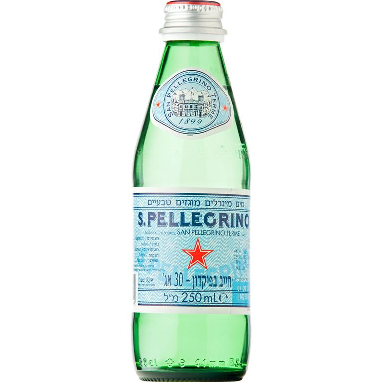 בקבוק מים מוגזים סאן פלגרינו 24 יח (קטן)