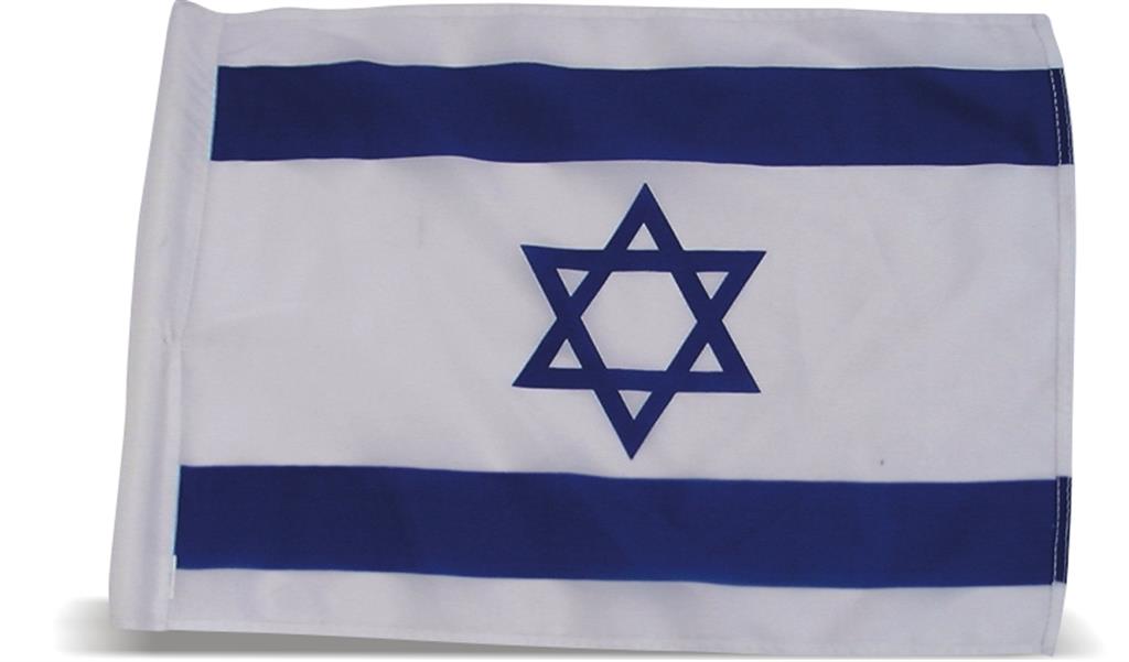 דגל ישראל 150110