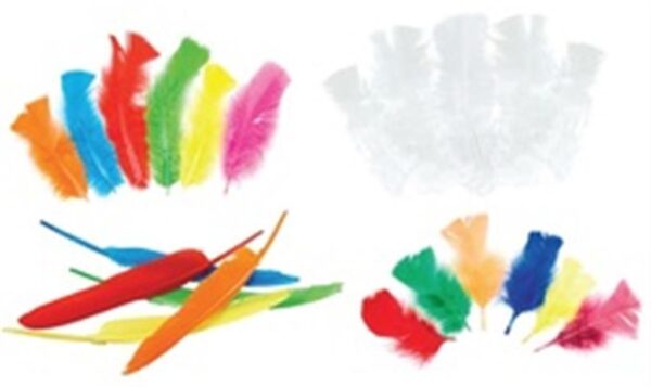 נוצות לבנות ליצירה 10ג