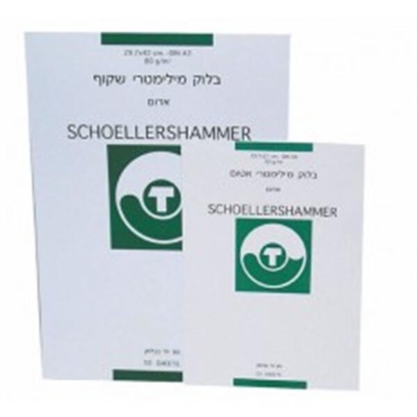 בלוק מילימטרי A3 שקוף