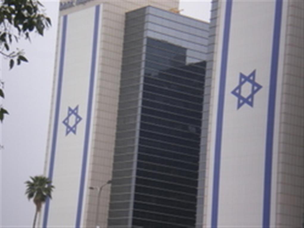 דגל לבניין   80/300